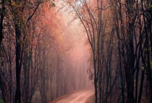 开云体育官网:东契奇詹姆斯合砍57分 湖人终结金块九连胜.