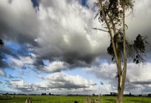 开云体育官网:媒体人:伊万这换人属于是投降了,两场踢沙特他都像卧底.