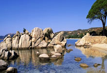 开云体育官网:媒体人:伊万这换人属于是投降了,两场踢沙特他都像卧底.